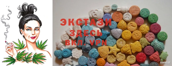 таблы Богородицк