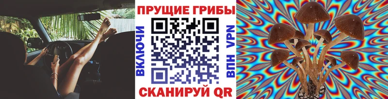 продажа наркотиков  Томмот  площадка официальный сайт  Галлюциногенные грибы Magic Shrooms 